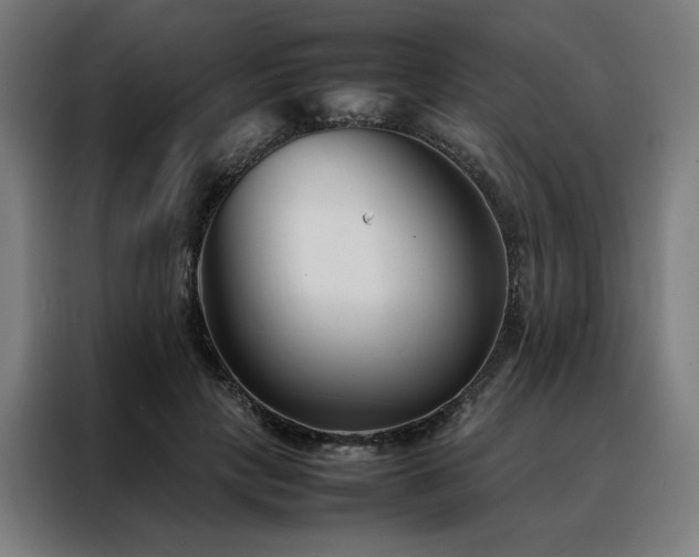 X0000088170649200705221622