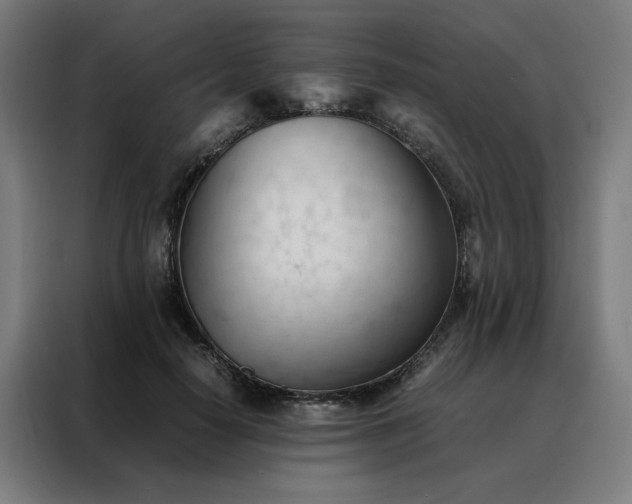 X0000088170650200705221622