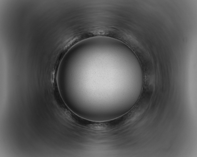 X0000088170652200705221622