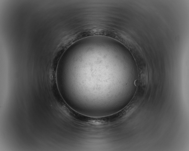 X0000088170654200705221622