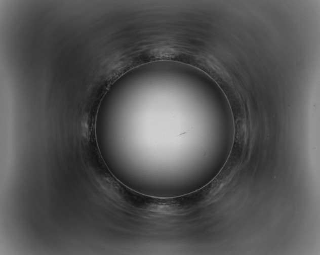 X0000088170655200705221623