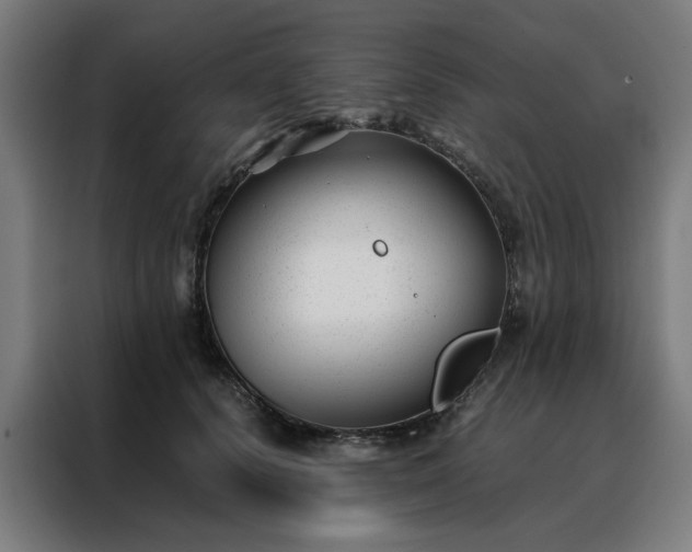 X0000088170656200705221623