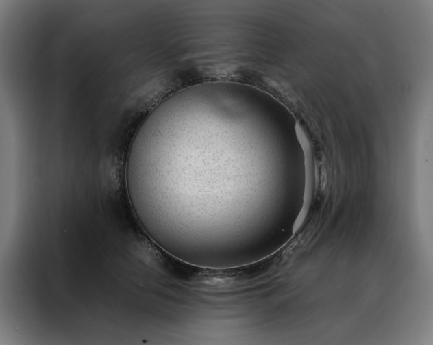 X0000088170658200705221623