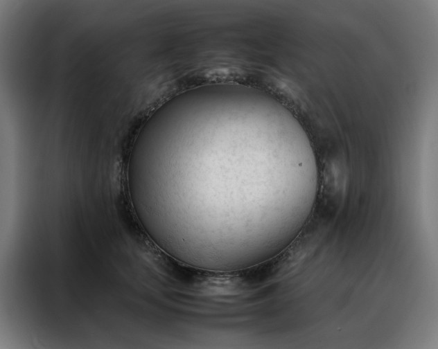 X0000088170659200705221623