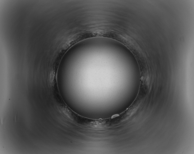 X0000088170660200705221623