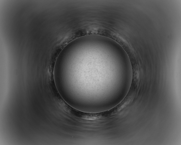 X0000088170661200705221623