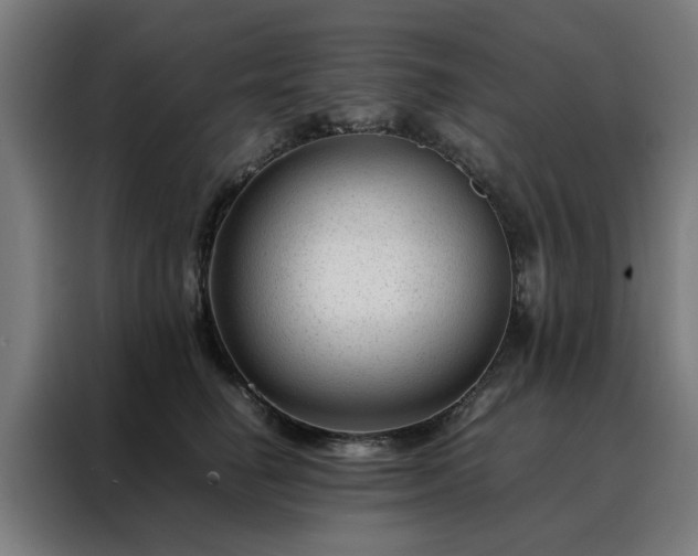 X0000088170662200705221623