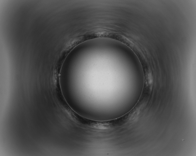 X0000088170664200705221623