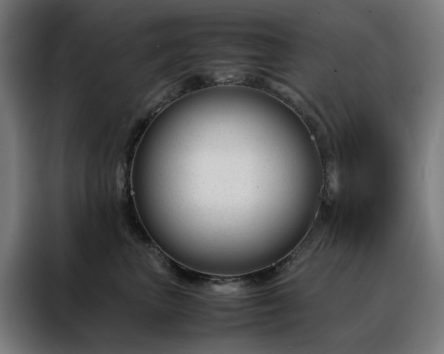 X0000088170667200705221623