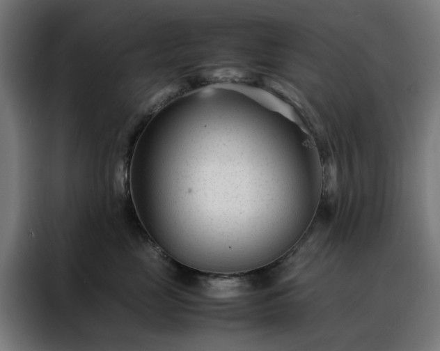 X0000088170669200705221623