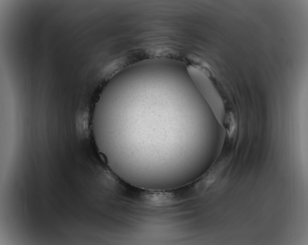 X0000088170670200705221623