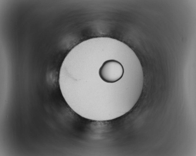 X0000088170672200705221623