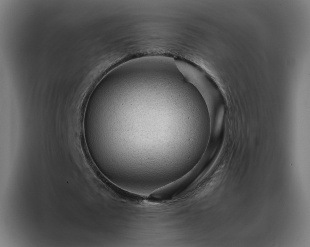 X0000088170673200705221622