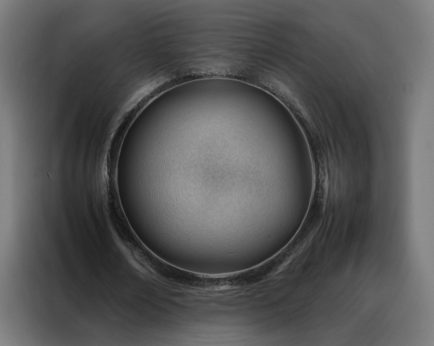 X0000088170674200705221622