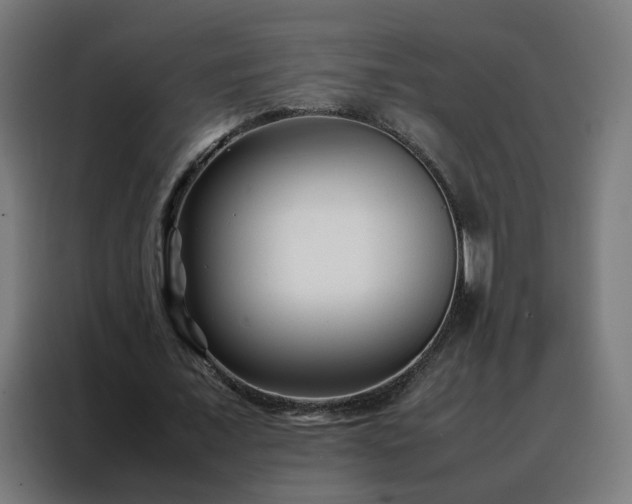 X0000088170675200705221622