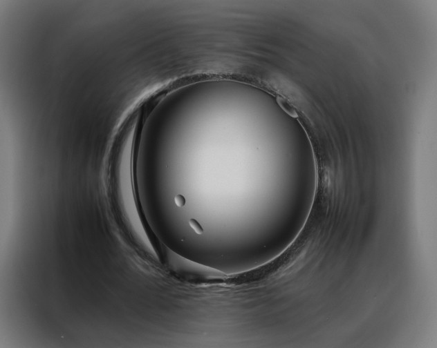 X0000088170676200705221622