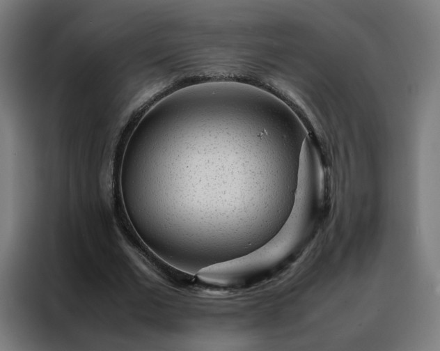 X0000088170677200705221622