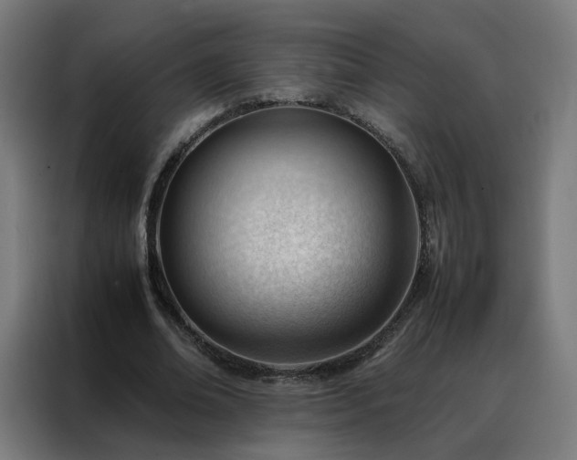 X0000088170678200705221622