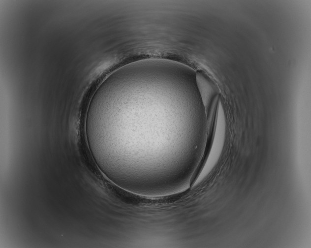 X0000088170679200705221622