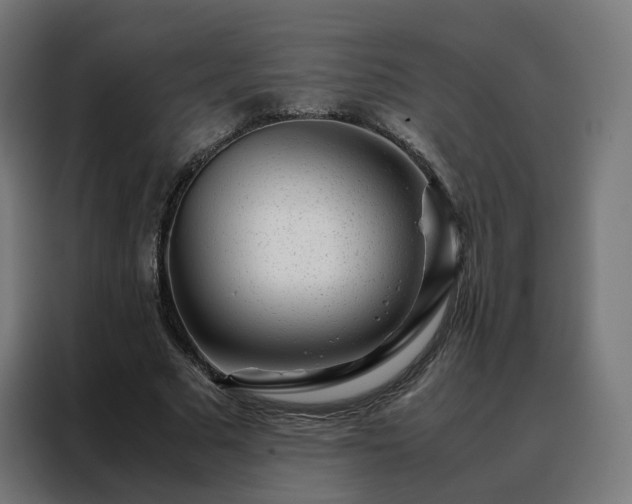 X0000088170681200705221622