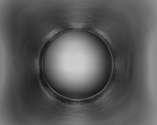 X0000088170682200705221622