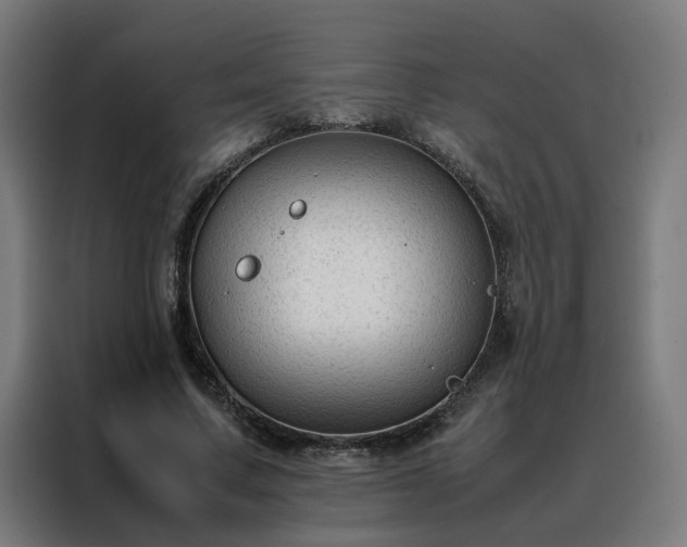 X0000088170683200705221622