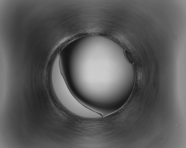 X0000088170684200705221622