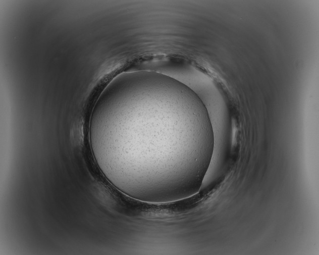 X0000088170685200705221622