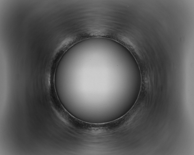 X0000088170686200705221622