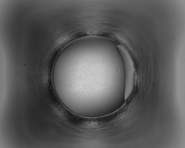 X0000088170687200705221622