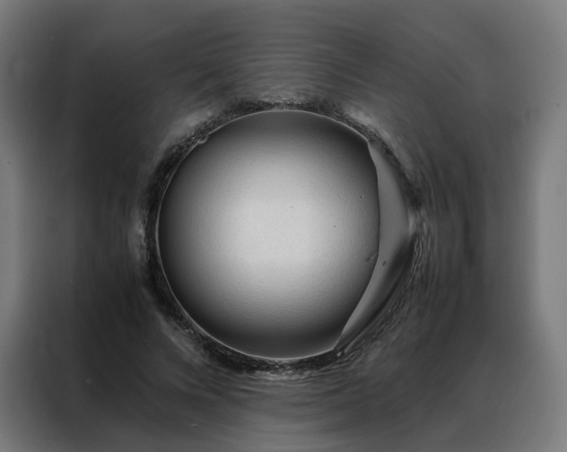 X0000088170688200705221622