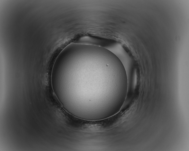 X0000088170689200705221622