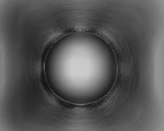 X0000088170690200705221622