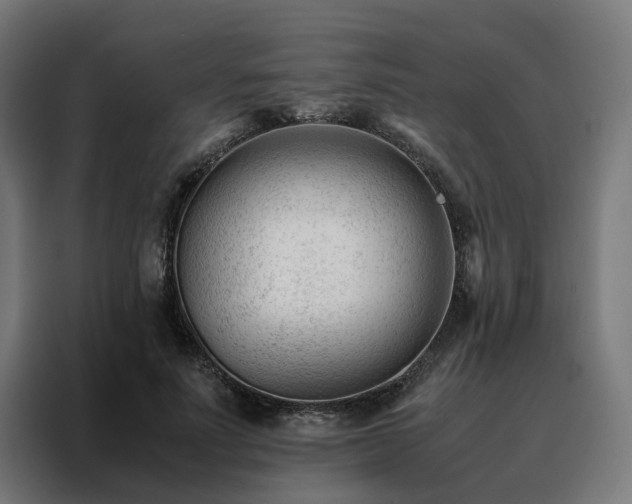 X0000088170691200705221622