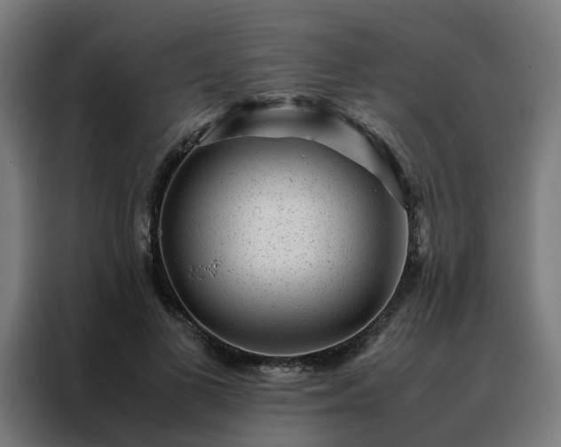 X0000088170693200705221622