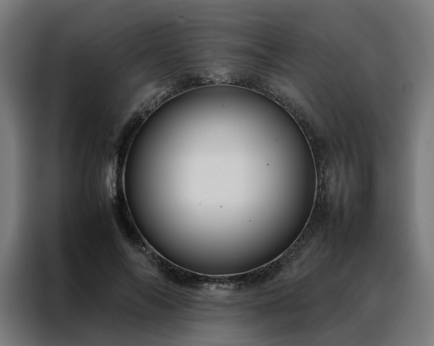 X0000088170694200705221622