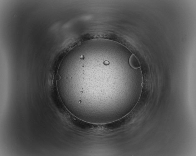 X0000088170695200705221622