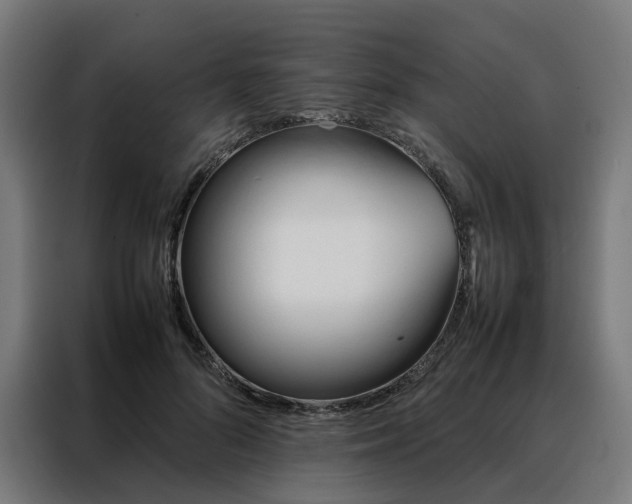 X0000088170696200705221622