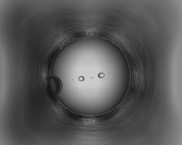 X0000088170698200705221622