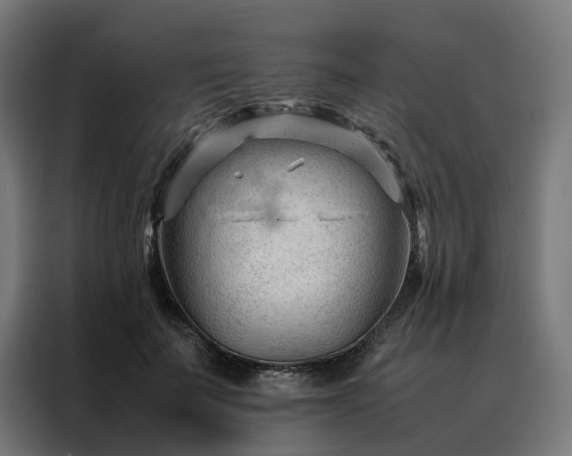 X0000088170699200705221622