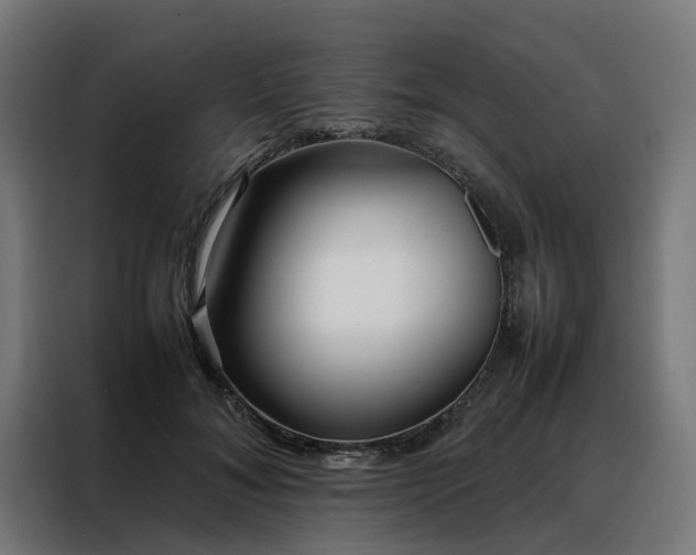 X0000088170700200705221622