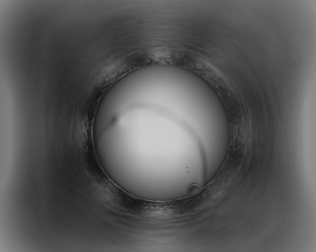 X0000088170702200705221622