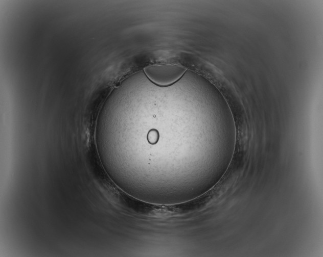 X0000088170703200705221622