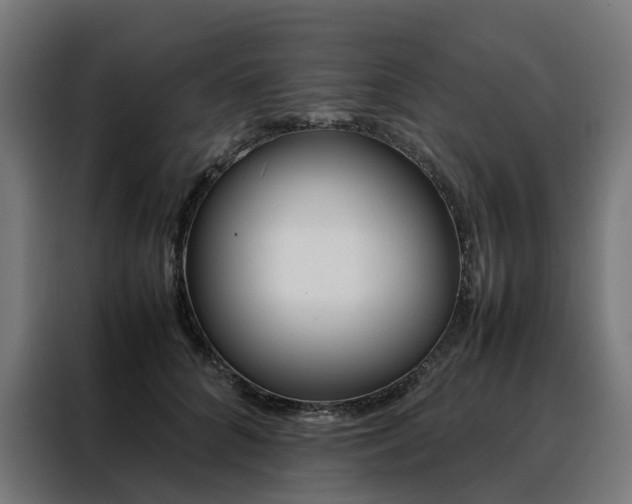 X0000088170704200705221622