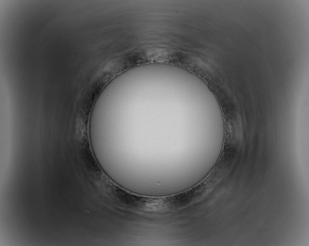 X0000088170705200705221622