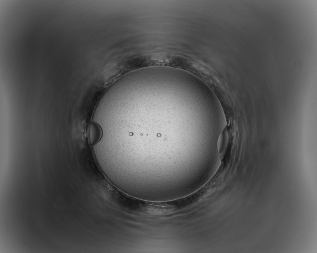 X0000088170707200705221622