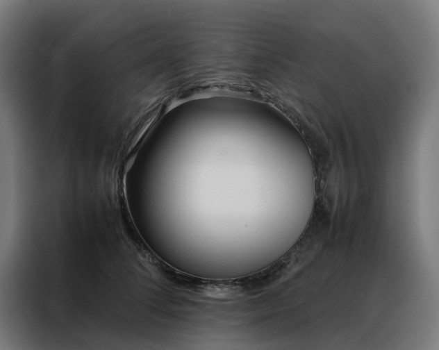 X0000088170708200705221622