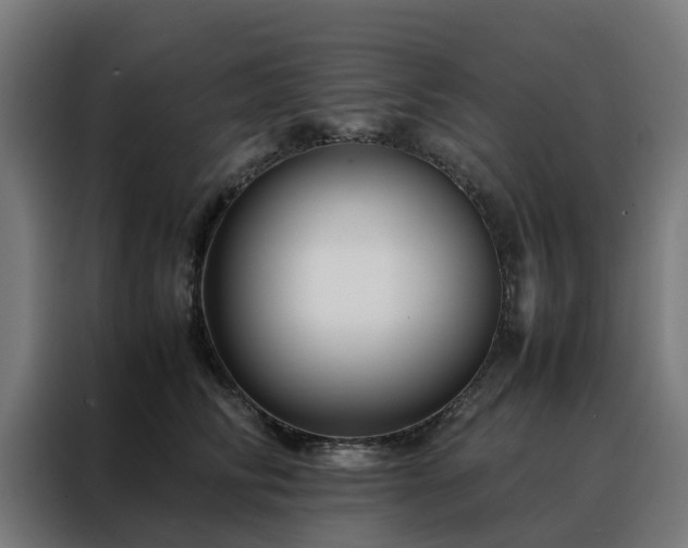 X0000088170710200705221622