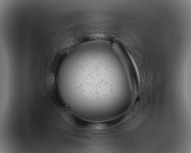 X0000088170711200705221622