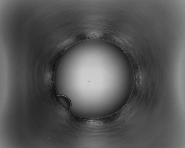 X0000088170714200705221622